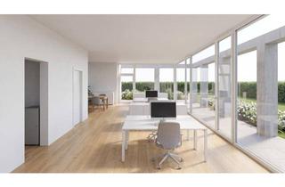 Penthouse kaufen in Landstraße, 6971 Hard, Zentrales Büro in Hard in Seenähe