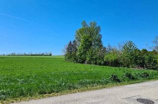 Grundstück zu kaufen in 7035 Steinbrunn, Grundstück für ihren Wohntraum in Steinbrunn (Provisionsfrei)