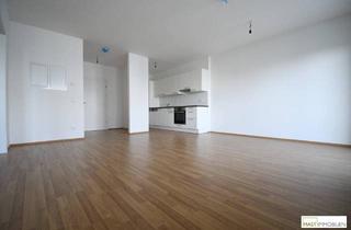Wohnung mieten in 2104 Spillern, Single- Pärchenhit in Spillern inkl. EWE Einbauküche samt Geräten - Neubau Baujahr 2019