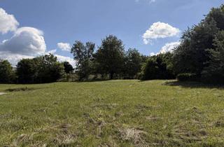 Grundstück zu kaufen in 4150 Berg, Baugrundstück in Zentrumsnähe