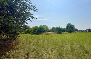 Grundstück zu kaufen in 4614 Marchtrenk, PROJEKTENTWICKLUNG / INVESTOREN-HIT: 9.800 m² Bestlage in Marchtrenk