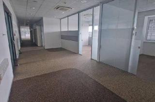 Büro zu mieten in Leopold-Figl-Straße, 8430 Leibnitz, EXKLUSIVE BÜROFLÄCHEN | 100 m² - 555 m² | m² ab 8,00 €