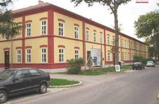 Wohnung mieten in Kasinostraße, 2602 Blumau-Neurißhof, Klassische Altbauwohnung