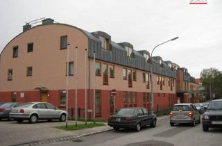 Wohnung mieten in Im Augustinergarten, 2100 Korneuburg, NUR AB 60 Jahren - Gemütliche 1-Zimmer-Wohnung für Senioren in Korneuburg: Modern, zentral & bezahlbar!