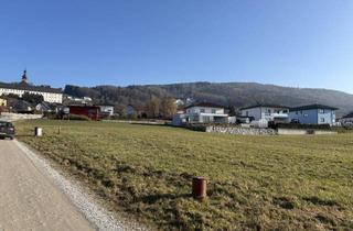 Grundstück zu kaufen in 4553 Schlierbach, Baugrundstück in sonniger Lage - Gst. 252/91