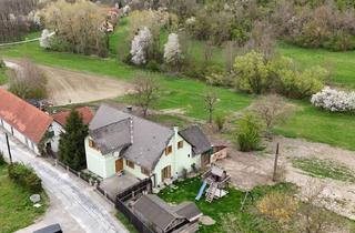 Haus kaufen in Schlossweg 4, 8472 Straß in Steiermark, Charmante Landwirtschaft mit Wohnhaus & Nebengebäuden Nahe der Südsteirischen Weinstraße