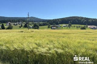 Grundstück zu kaufen in 4164 Schwarzenberg am Böhmerwald, Betriebsbaugrund in Schwarzenberg