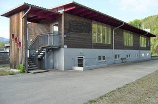 Lager kaufen in Linke Mürzzeile 19A, 8605 Kapfenberg, Lagerhalle in Kapfenberg - 2.142M² Nfl. Lagerhalle