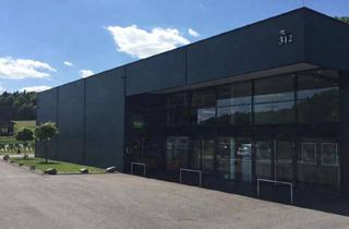 Lager mieten in Liebensdorf 312, 8081 Empersdorf, Hallenflächen - Büro - Geschäft Nur 10 Min. von Graz Ost - in 8081 Liebensdorf