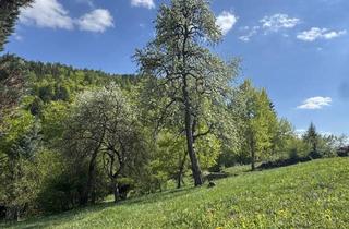Grundstück zu kaufen in 9521 Treffen, Ruhiges Baugrundstück in Idyllischer Lage in Treffen am Ossiacher See zu Kaufen!