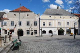 Wohnung mieten in 2620 Neunkirchen, Schöne Mietwohnung in der Hauptplatzpassage in Neunkirchen!