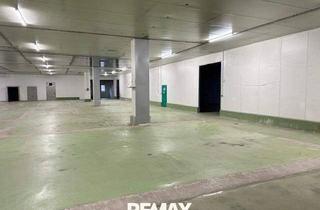 Büro zu mieten in 8600 Bruck an der Mur, Lagerhalle zu mieten! 2.142m² Nfl. - Lagerhalle in Bruck an der Mur