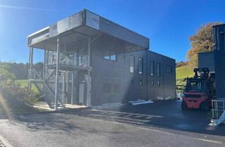 Büro zu mieten in 8081 Heiligenkreuz am Waasen, Gewerbehalle - Lagerhalle mit Büro nähe Hausmannstätten