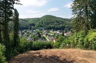 Grundstück zu kaufen in 3011 Purkersdorf, Purkersdorf | Sonniger Bauplatz mit Fernblick | Zwei Wohneinheiten möglich