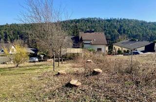 Grundstück zu kaufen in 2822 Bad Erlach, Ruhig, grün und sonnig! Schöner Baugrund Nähe Bad Erlach