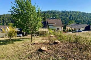Grundstück zu kaufen in 2822 Bad Erlach, Ruhig, grün und sonnig! Schöner Baugrund Nähe Bad Erlach