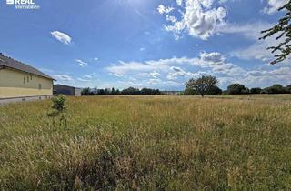 Grundstück zu kaufen in 7361 Lutzmannsburg, 7361 Lutzmannsburg - Thermenregion Lutzmannsburg! Baugrundstück in Ortsrandlage