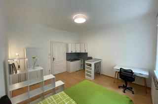 Wohnung mieten in Sebastian-Kneipp-Gasse 12, 1020 Wien, TOP-Lage: zentrale 1-Zimmer-Wohnung nähe Prater, WU, U2 (Station Messe Prater)