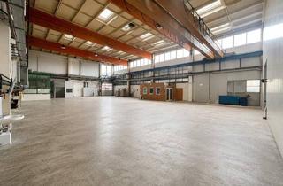 Büro zu mieten in 4663 Laakirchen, 480 m² Lagerhalle / Produktionshalle in unmittelbarer A1-Nähe