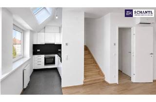 Maisonette mieten in Ziegelofengasse, 1050 Wien, 1 Monat mietfrei! Jetzt einziehen & profitieren! Tolle Maisonettewohnung mit Klimaanlage