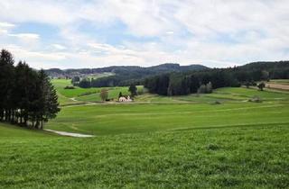 Haus kaufen in 3911 Pirkenreith, Herrliche Einzellage im Waldviertel