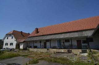 Bauernhäuser zu kaufen in 8332 Edelsbach bei Feldbach, Saniertes Landgut mit umfangreichen Nebengebäuden und 8.527 m² Bauland