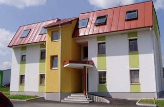 Wohnung mieten in 7411 Markt Allhau, Wohnung in Markt Allhau