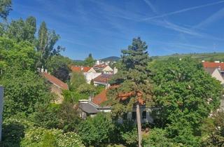 Wohnung kaufen in Heiligenstädterstraße 195/17, 1190 Wien, Charmante Eigentumswohnung im 19. Bezirk Wiens mit Herrlichem Ausblick Über die Umliegenden Weinberge!