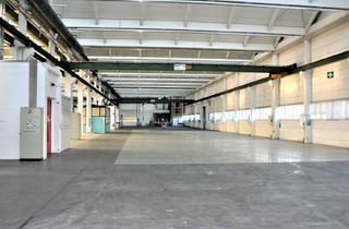 Lager mieten in Kochlergang 14, 4060 Leonding, Halle und Büro Leonding zu Vermieten Direkt vom Eigentümer