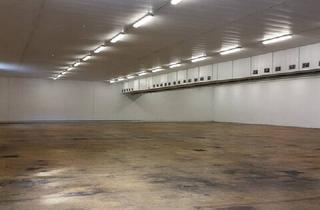 Gewerbeimmobilie mieten in 6812 Meiningen, TOP - Lagerhalle mit Rangierfläche in Meiningen zu vermieten