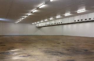 Gewerbeimmobilie mieten in 6812 Meiningen, TOP - Lagerhalle mit Rangierfläche in Meiningen zu vermieten