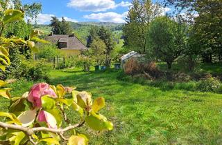 Einfamilienhaus kaufen in 3052 Innermanzing, SONNIGE LIEGENSCHAFT MIT SCHÖNEM AUSBLICK & POTENTIAL