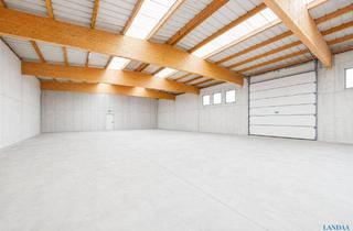 Büro zu mieten in 2000 Zissersdorf, Attraktiver Gewerbestandort mit Hallen, Büro und großzügigen Freiflächen zur Miete – Kaufoption möglich!