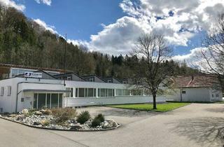 Büro zu mieten in Arkenstrasse 55, 6835 Muntlix, Gewerbeliegenschaft in sehr guter Lage zu vermieten
