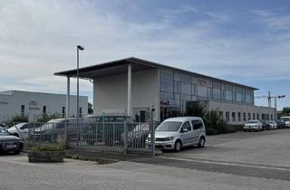 Büro zu mieten in 2512 Tribuswinkel, Bürostandort mit Mehrwert: Tankstelle, Waschplatz & bis zu 800 m² Freifläche