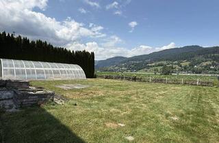 Grundstück zu kaufen in 8784 Trieben, Sonniges, flaches Grundstück mit Pool!