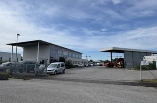 Büro zu mieten in 2512 Tribuswinkel, Bürostandort mit Mehrwert: Tankstelle, Waschplatz & bis zu 800 m² Freifläche