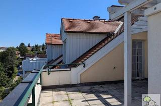 Wohnung mieten in 3420 Kritzendorf, Traumhafter Ausblick - Großzügige Terrassenwohnung mit Fernblick