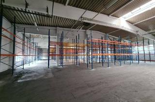 Büro zu mieten in Industriestraße 258, 2722 Weikersdorf am Steinfelde, Lagerhalle, Produktion, Werkstätte, Büros anmietbar
