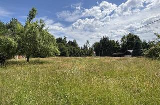Grundstück zu kaufen in 8542 Sankt Peter im Sulmtal, Ihr Traumgrund in ruhiger Lage