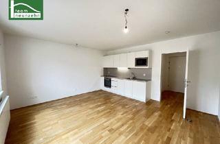 Wohnung mieten in Pohlgasse, 1120 Wien, Neuwertige 1-Zimmer-Wohnung mit Balkon und Einbauküche - ab September beziehbar!