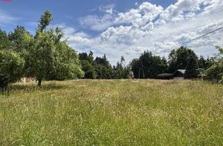 Grundstück zu kaufen in 8542 Sankt Peter im Sulmtal, Ihr Traumgrund in ruhiger Lage