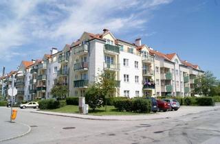 Wohnung mieten in Conrathstraße 52, 3950 Gmünd, schöne, helle 2 Zimmer