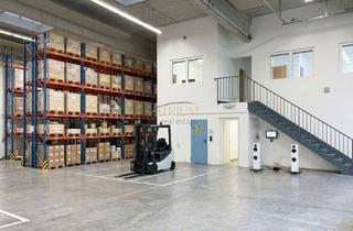 Büro zu mieten in 2483 Weigelsdorf, Platzmangel? Dann haben wir die Lösung. Imposante 7m Deckenhöhe mit ca. 810m² Nutzfläche und 40m² Bürotrakt.