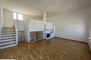 Loft mieten in Geiselbergstraße, 1110 Wien, Helle und Geräumige Loftwohnung mit Großer Terrasse