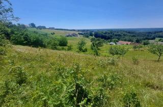 Grundstück zu kaufen in 8382 Mogersdorf, Traumhaftes Sonnengrundstück mit Panoramablick in Mogersdorf – Ihr Platz für Freiheit, Natur und neue Lebensideen