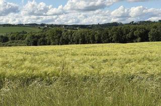 Gewerbeimmobilie kaufen in 4775 Taufkirchen an der Pram, 7,2 ha Acker, 1,05 ha Waldfläche nahe Schärding