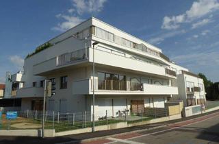 Wohnung mieten in 2700 Wiener Neustadt, Hochwertig ausgestattete Mietwohnung mit Eigengartenanteil und Tiefgaragen-Stellplatz in Toplage in 2700 Wiener Neustadt
