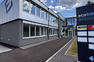 Büro zu mieten in 8200 Gleisdorf, +++ ecobase +++ Lichtdurchflutete EG Bürofläche mit ca. 115 m² zu vermieten!