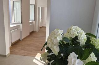 Wohnung kaufen in Vorgartenstraße 00, 1020 Wien, Provisionsfrei - freier Mietzins Prater & WU ums Eck